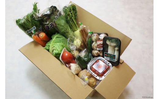 AI023【10～5月限定出荷】こむたの旬の野菜つめあわせ(13～15品目)おまかせ L セット 【 野菜 やさい 旬 種類 人気 オススメ 新鮮 詰め合わせ こむた 小無田 青果 長崎県 島原市 】