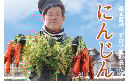 AI118 じゃがいも ＆ 人参 セット ( ながさき黄金＆冬人参 ) 約 5kg [ 野菜 野菜セット 詰め合わせ ジャガイモ にんじん ニンジン 5kg 5キロ 黄金 贅沢宝庫 長崎県 島原市 ]