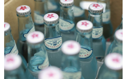 AI173 島原湧水99％使用！温泉（うんぜん） レモネード 330ml×24本 [ 島原 湧水 水 炭酸 サイダー レモン 温泉 ジュース ラムネ レトロ かわいい 山崎本店酒造場 長崎県 島原市 ]