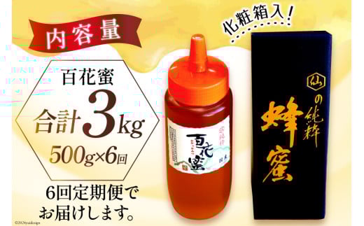 AI287 6回 定期便 国産 はちみつ 百花蜜 500g [ 蜂蜜 ハチミツ ハニー おすすめ おいしい 無添加 村木養蜂場 長崎県 島原市 ]