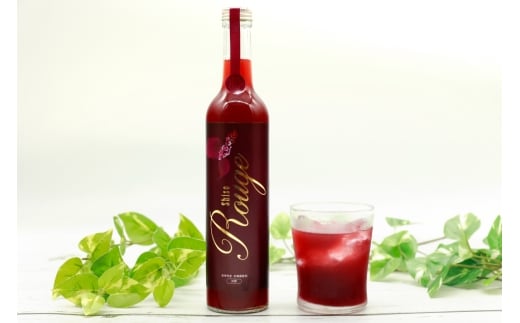 AJ307 感動の赤しそジュース 瓶 500ml 感動の青しそジュース 瓶 500ml [ しそジュース 紫蘇ジュース 赤しそ 青しそ 長崎県 島原市 ]