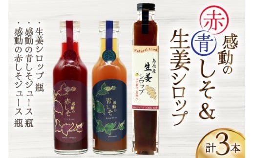 AJ310 感動の赤しそジュース 瓶 200ml 感動の青しそジュース 瓶 200ml 生姜シロップ 瓶 250ml 飲み比べセット [ しそジュース 紫蘇ジュース 赤しそ 青しそ 長崎県 島原市 ]