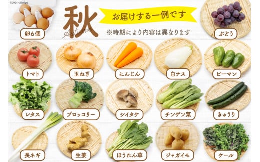 BA025 野菜・フルーツ・卵 旬のおまかせセット （野菜･フルーツ13～16品目、卵6玉）[ 野菜セット 野菜 フルーツ 果物 たまご 鶏卵 産地直送 厳選 長崎県 島原市 送料無料]
