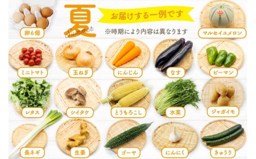 BD038 【12回定期便】 野菜・フルーツ・卵 旬のおまかせセット （野菜･フルーツ13～16種、卵6玉） [ 野菜セット 野菜 フルーツ 果物 たまご 鶏卵 産地直送 厳選 長崎県 島原市 送料無料]