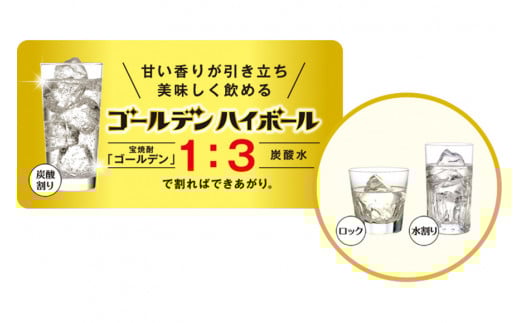 BE175宝焼酎「ゴールデン」25度 360ml✕12本入