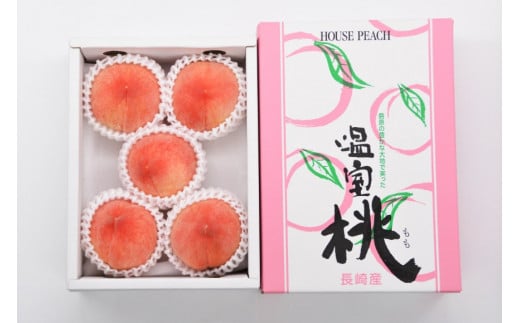 BF017【令和6年度出荷分】 ＜ 数量限定 ＞ 果汁あふれる！川田さん家の 桃 1kg