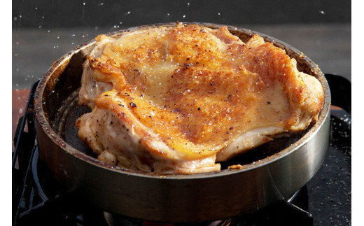 BF084 ステーキ専用 削りだしグリルパン『極厚～ごくあつ～』(S)