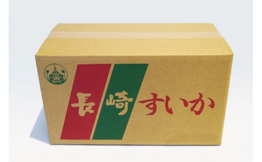 BF164【令和7年度出荷分】秋季出荷！大玉スイカ～羅皇（ラオウ）～（Lサイズ6kg以上×2玉入）[先行予約 数量限定 すいか スイカ 西瓜 フルーツ 果物 長崎 長崎県 島原市]