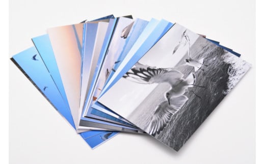 BF218 絵葉書セット「KAMOME」