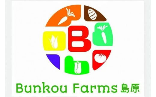 BG035　【令和8年度出荷分】5月下旬から出荷！ 朝どれ スイートコーン 200g以上×18本以上 4.5kg ～名水百選の里 島原産～