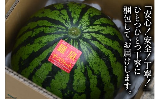 BG059【令和8年度出荷分】絶品！大玉スイカ～羅皇（ラオウ）～（7～10kg）[先行予約 数量限定 すいか スイカ 西瓜 フルーツ 果物 長崎 長崎県 島原市]