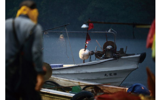 BG065【定期便】有明海 旬の鮮魚 漁協おすすめ 海の幸定期便 計6回