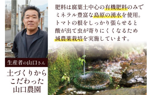 BG139【6回定期便】全国にファンがいる高級フルーツトマト アイコ どっさり！3kg