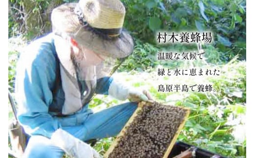 BH073 国産はちみつ 1.2kg（百花蜜）[ 国産 甘い はちみつ 蜂蜜 村木養蜂場 長崎県 島原市 ]