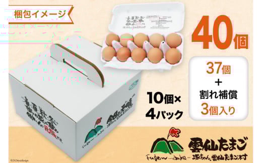 BI033 12回 定期便 雲仙たまごLサイズ 40個 (10個入り×4パック) (37個＋割れ補償3個入り) [ 卵 たまご 生卵 鶏卵 赤卵 玉子 新鮮 塚ちゃん雲仙たまご村 長崎県 島原市 ]