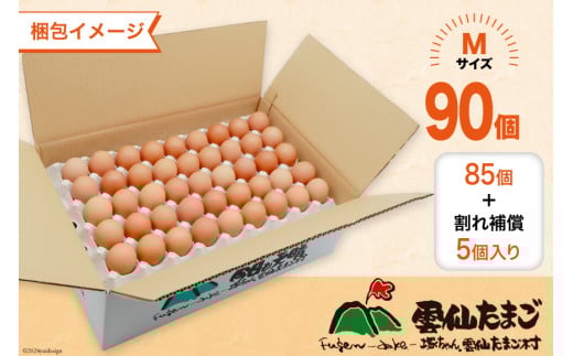 BI042 12回 定期便 たっぷり！ 雲仙たまごMサイズ 90個(85個＋割れ補償5個入り) [ 卵 たまご 生卵 鶏卵 赤卵 玉子 新鮮 塚ちゃん雲仙たまご村 長崎県 島原市 ]