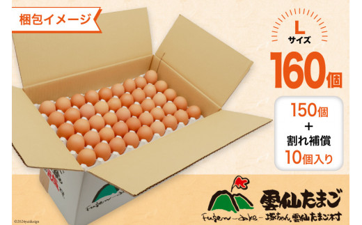 BI047 6回 定期便 どっさり！ 雲仙たまごLサイズ 160個(150個＋割れ補償10個入り) [ 卵 たまご 生卵 鶏卵 赤卵 玉子 新鮮 塚ちゃん雲仙たまご村 長崎県 島原市 ]