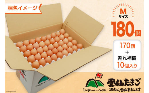 BI051 12回 定期便 どっさり！ 雲仙たまごMサイズ 180個(170個＋割れ補償10個入り) [ 卵 たまご 生卵 鶏卵 赤卵 玉子 新鮮 塚ちゃん雲仙たまご村 長崎県 島原市 ]