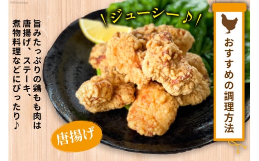 BI082 鶏肉 雲仙しまばら鶏 もも肉 260g 6袋 計1.56kg [ 小分け 鶏もも肉 若鶏 とりもも肉 とりもも 肉 チキン 真空パック 大光食品 長崎県 島原市 ]