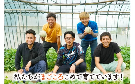 BI114 【令和8年度出荷分】 島原赤肉メロン「マルセイユ」（2L×4玉） [ メロン めろん マルセイユ 赤肉 フルーツ 果物 小原商店 長崎県 島原市 ]