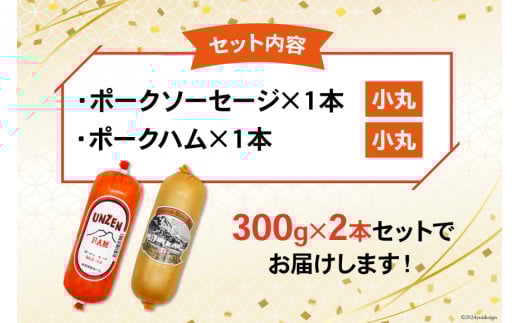 CI241 雲仙ハム ソーセージ ハム 各1本 計2本 各300g [ ボロニアソーセージ ポークハム ウインナー ウィンナー 小分け 便利 国産 豚肉 人気 おつまみ 肉 おかず 長崎県 島原市 ]