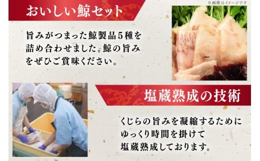 BJ154 美味しい 鯨 5種詰め合わせAセット 計520g( 大和煮 オバ ベーコンブロック 湯かけくじら さえずりブロック )[ くじら クジラ 鯨肉 湯引き 簡単調理 おつまみ 肴 珍味 日野商店 長崎県 島原市 ]