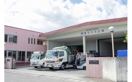 CA023 特別栽培米ながさきにこまる[ 白米 精米 ごはん ご飯 こめ おこめ もちもち おにぎり 粘り おいしい 長崎県産 長崎県産米 長崎にこまる 長崎県 島原市 ]