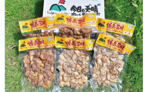 CD028 炭火焼 焼き鳥三昧 塩味3袋・タレ味3袋 計6袋 セット [ 炭火焼き 炭火焼き鳥 炭火焼鶏 鶏 焼鳥 詰め合わせ 塚ちゃん雲仙たまご村 長崎県 島原市 ]