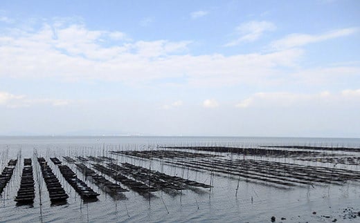 CD194 有明海産 贅卓焼のり（旬） 全型20枚（10枚×2袋）