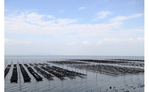 DE163 有明海産 　島原のり（味付のり）・潮の舞（塩のり）　8切8枚入　各2袋 [ 海苔 のり 味付け海苔 味付けのり 長崎県 島原市 ]