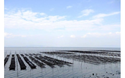 DF125 有明海産 焼のり 『たべたいな～ 朝ごはん』（8切5枚）×20束