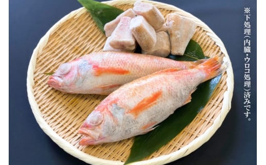 EF091「のどぐろ」中サイズ（160～180g） 6尾　＜煮付け・塩焼き用＞