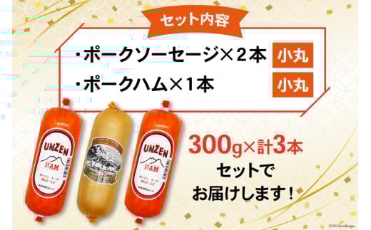 GD192 雲仙ハム ソーセージ 詰め合わせ 小×2本＋ハム×1本 各300g[ 絶品 人気 ウインナー ソーセージ おつまみ ギフト 肉 お弁当 おかず 小分け 便利 国産 豚肉 お歳暮 お中元 長崎県 島原市]