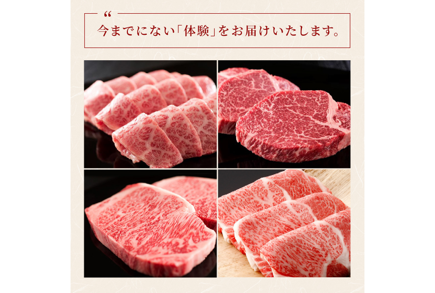 AI276 長崎和牛 半頭分買い 一括納品 [ 肉 和牛 牛肉 Giverichホールディングス 長崎県 島原市 ]