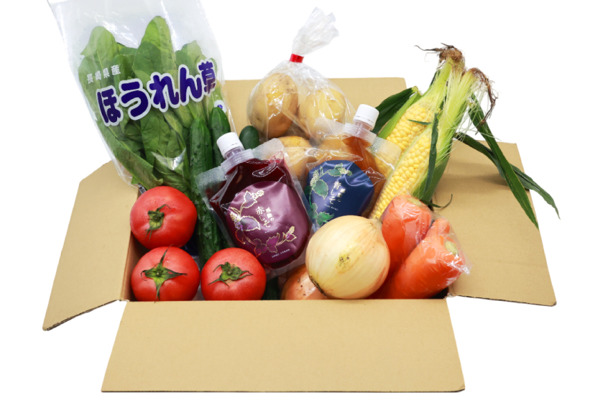 AJ313 野菜セット 5～7品目 しそジュース付き [ 野菜 詰め合わせ 少人数用 一人暮らし 二人暮らし シソジュース 紫蘇ジュース 長崎県 島原市 ]