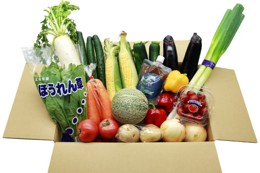 AJ315 季節の野菜・果物セット 13～15品 しそジュース付き [ 野菜 詰合せ 長崎県 島原市 ]