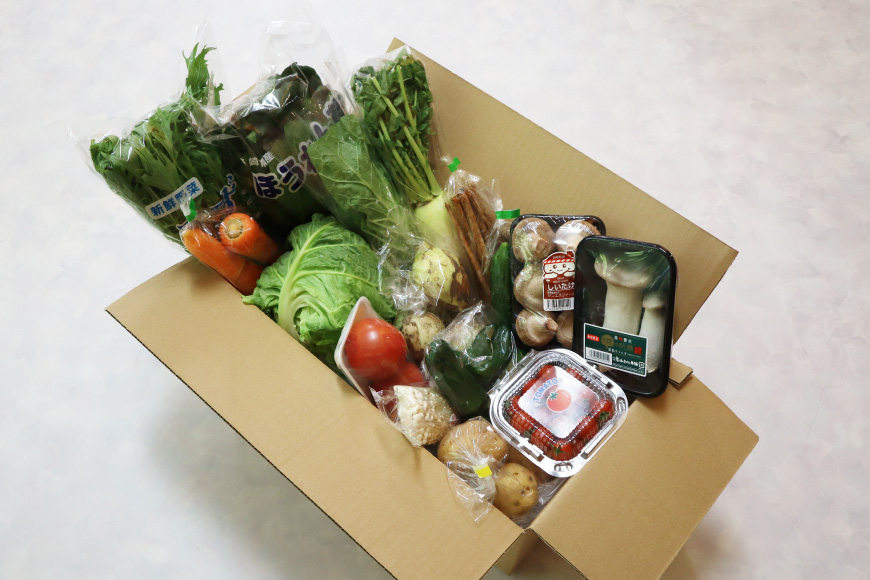 AJ435 【3回定期便】【1～3月限定出荷】こむたの旬の野菜 (13～15品目) おまかせLセット [ 野菜 やさい 旬 定期便 野菜セット 種類 人気 オススメ 新鮮 詰め合わせ 詰合せ こむた 小無田 青果 長崎県 島原市 ]