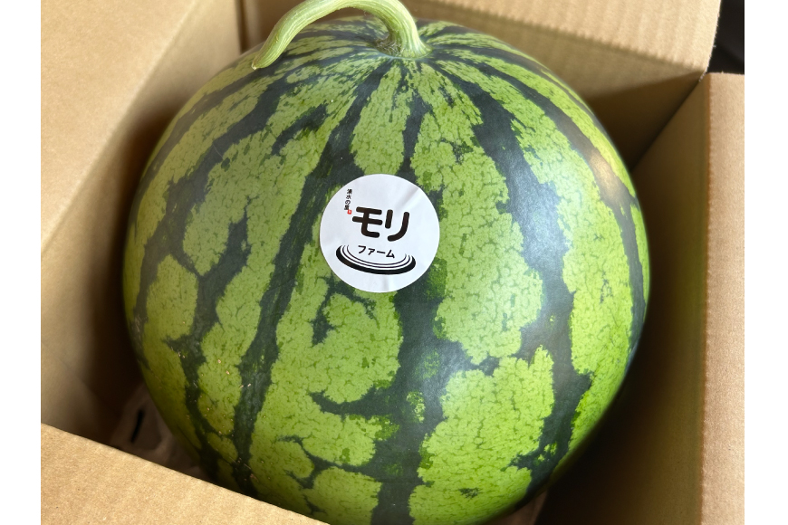 AJ455 【令和8年度出荷分】 湧水の里 モリファーム 赤玉 スイカ ラオウ まつりばやし 3L 8～10kg 1玉 [ 先行予約 数量限定 すいか スイカ 西瓜 フルーツ 果物 長崎 長崎県 島原市 ]