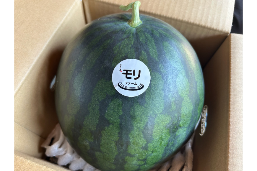 AJ458 【令和8年度出荷分】 湧水の里 モリファーム 大玉スイカ ムーンフラッシュ 3L 8～10kg 1玉 [ 先行予約 数量限定 すいか スイカ 西瓜 フルーツ 果物 長崎 長崎県 島原市 ]