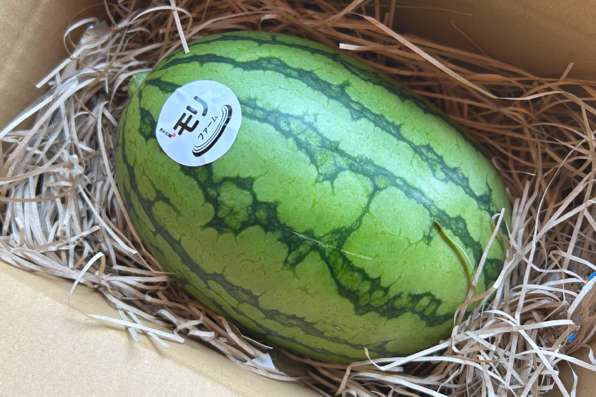 AJ460 【令和8年度出荷分】 湧水の里 モリファーム 小玉スイカ うり坊 3L 4kg 1玉 [ 先行予約 数量限定 小玉 うり坊 スイカ 西瓜 フルーツ 果物 長崎 長崎県 島原市 ]