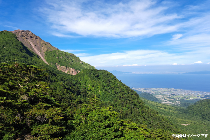 AJ616 山崎本店酒造場 【6回定期便】 雲仙島原の天然水 500mL 30本 計15L [ 水 ペットボトル 天然水 おいしい 備蓄 日用品 大容量 定期便 定期 名水百選 軟水 長崎県 島原市 ]