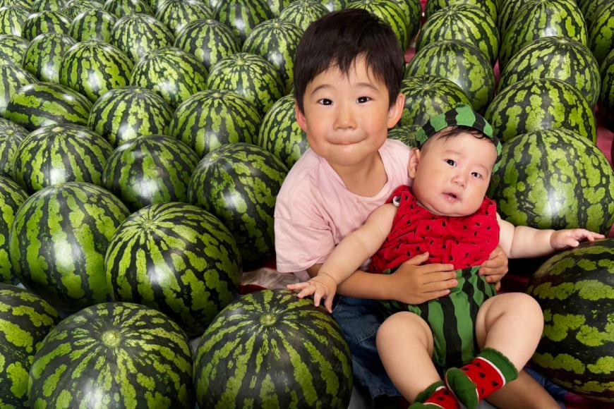 AJ643 【令和8年度出荷分】 島原スイカ倶楽部 大玉スイカ 羅皇ザ・スウィート 3Lサイズ 8～10kg [ 先行予約 数量限定 すいか スイカ 西瓜 フルーツ 果物 長崎 長崎県 島原市 ]