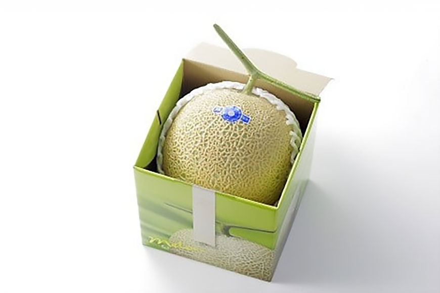 AJ650 【令和8年7-8月出荷分】 堀農園 マスクメロン 1玉 [ メロン めろん 青肉メロン 黄緑 果物 フルーツ おいしい 甘い 堀農園 長崎県 島原市 ]