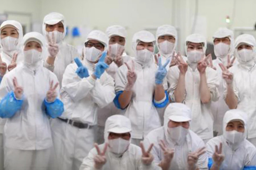 BJ022 岩崎本舗 【12回定期便】長崎角煮まんじゅう 6個入 (箱) [長崎県 島原市]