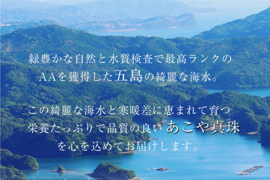 AI390 Marycoco あこや本真珠 8mm 一粒 パールスルーネックレス ゴールド ケース付 [NPS80A-G ネックレス 一粒ネックレス パール 真珠 アコヤ真珠 本真珠 ジュエリー アクセサリー 金属アレルギー対応 メアリーココ 長崎県 島原市 ]