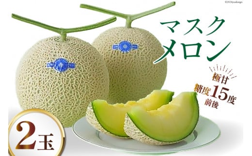 【期間限定発送】AA048 その道一筋の生産者がじっくり丁寧に育てた マスクメロン 2玉入