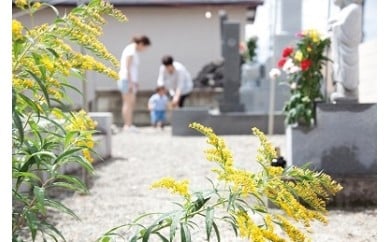 AA068心を込めて磨き上げる　お墓掃除プラン