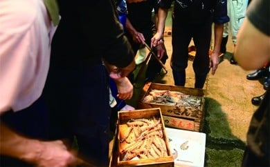 AA075天然の好漁場有明海からの恵み　海の幸贅沢三昧セット