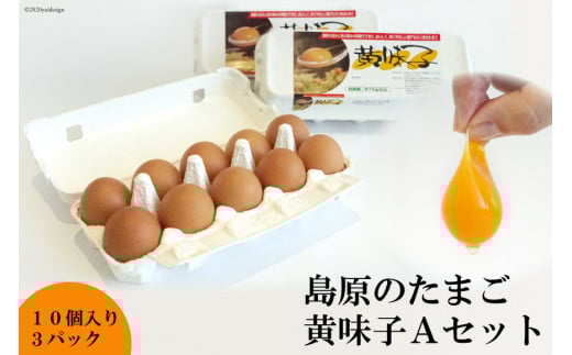 AE136 島原のたまご 黄味子Ａセット