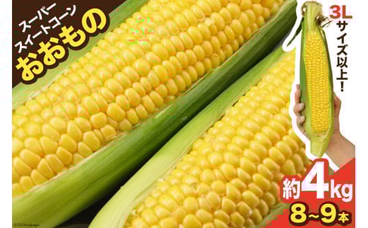 AE155 とうもろこし おおもの スーパースイートコーン 約4kg 【3Lサイズ以上！】